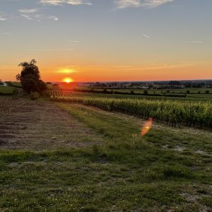 Chateau Soutard St Emilion