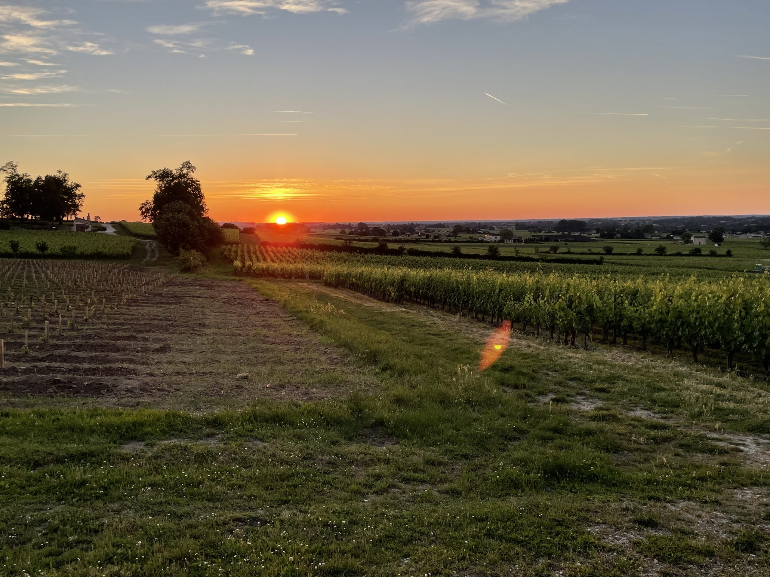 Chateau Soutard St Emilion